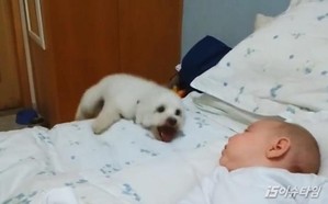 thumbimg