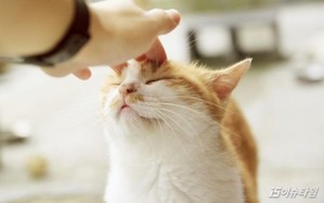 thumbimg