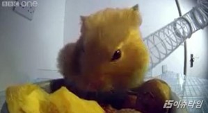 thumbimg