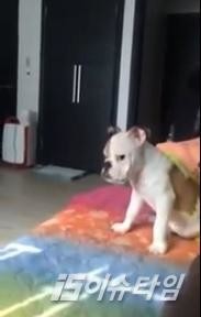 thumbimg