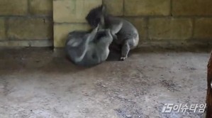 thumbimg