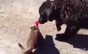 thumbimg
