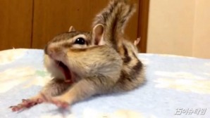 thumbimg