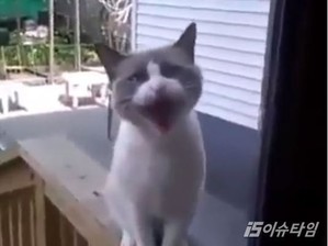 thumbimg