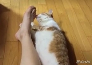 thumbimg