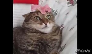 thumbimg