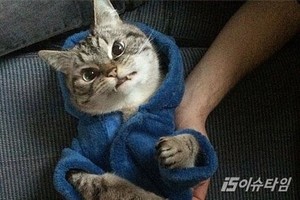 thumbimg