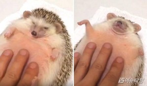 thumbimg