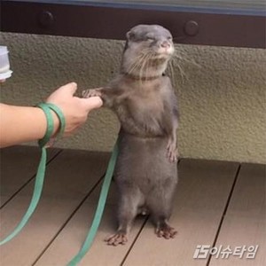 thumbimg