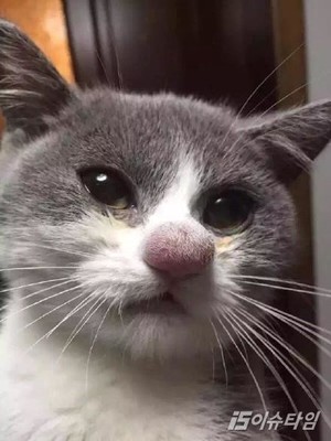 thumbimg