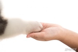 thumbimg