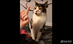 thumbimg