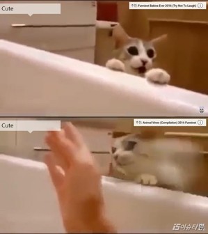thumbimg
