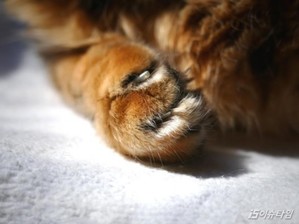 thumbimg
