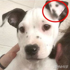 thumbimg