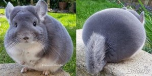 thumbimg