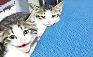 thumbimg