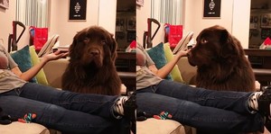 thumbimg