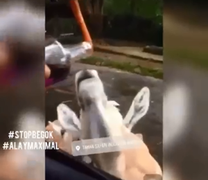 thumbimg