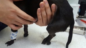 thumbimg