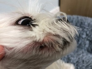 thumbimg