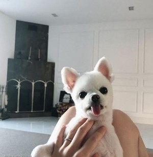 thumbimg