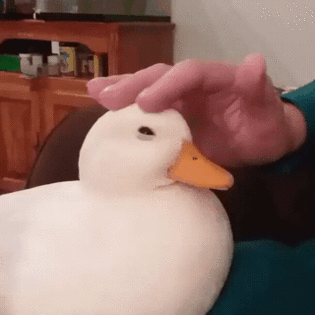 thumbimg