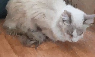 thumbimg