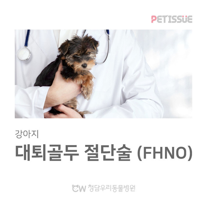 청담우리동물병원 365일 진료후기(1...