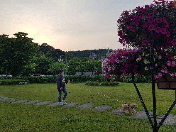 석양에 나의 보물과 함께 즐거운 공원...