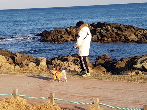 소중한 짝궁과의 산책에 장애물은 없다...